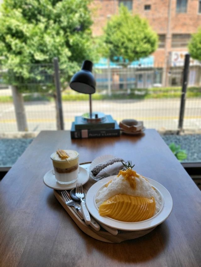 거제 도심에서 즐기는 가성비 망고빙수 맛집