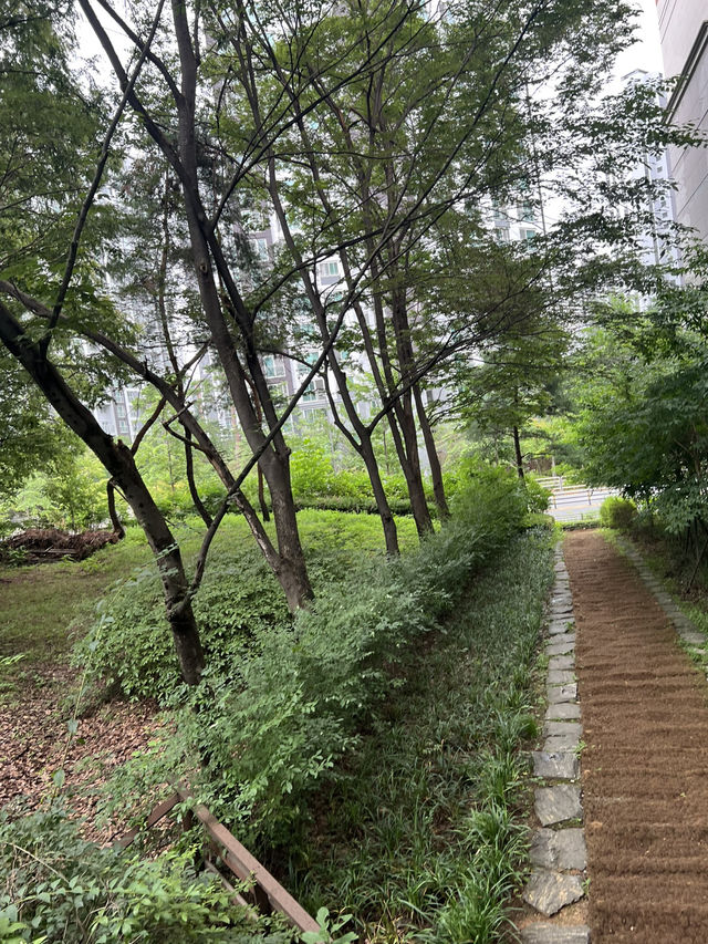 도서관 옆 휴식공간
