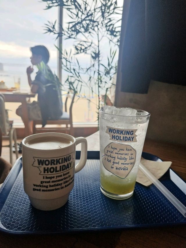 광안리 플랜테리어가 예쁜 카페 워킹홀리데이🍀