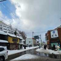 Charming Otaru Escape: 2-day Cultural & Culinary Journey from Sapporo