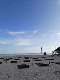 rainforest setting, over-water chalets, private beach, and friendly service