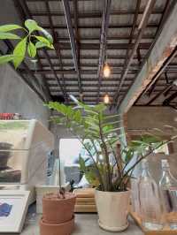 Rustic Vibes, Indoor Trees, and Cat Company: Grind.jb Café in Taman Sentosa