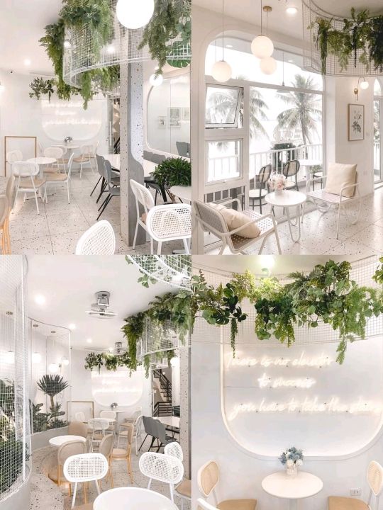 Laika Cafe