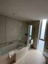 City Pulse, Suite Peace, Discover Somerset