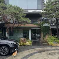 분위기 좋은 일산레스토랑 피노