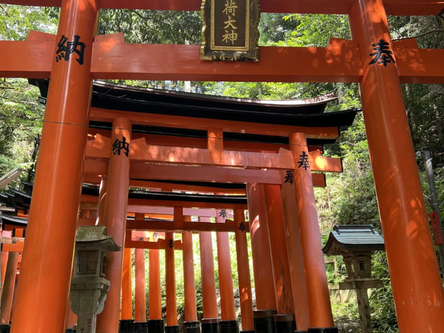 Kyoto: Exploring Sannenzaka, Kiyomizu-dera, and Fushimi Inari-taisha! ⛩️🚶‍♀️