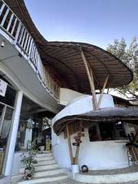 Balii