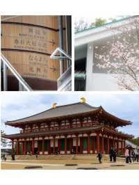 ✨ 「奈良一日遊｜與鹿共舞，穿越千年歷史」 ✨