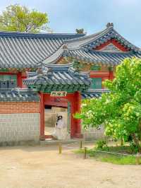 여름날의 푸릇한 경복궁 