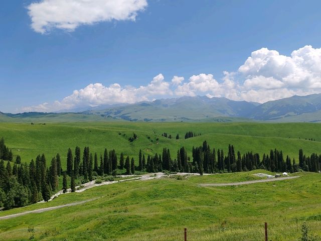 Mengteke Ancient Road: Discovering Nature's Splendor