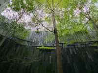 Minimalism, Light & Quiet Moments – A Hidden Gem Stay at Lloyd’s Inn Singapore
