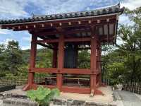 【宇治平等院鳳凰堂】10円玉の世界遺産で、時を超える美を体感🕊️✨