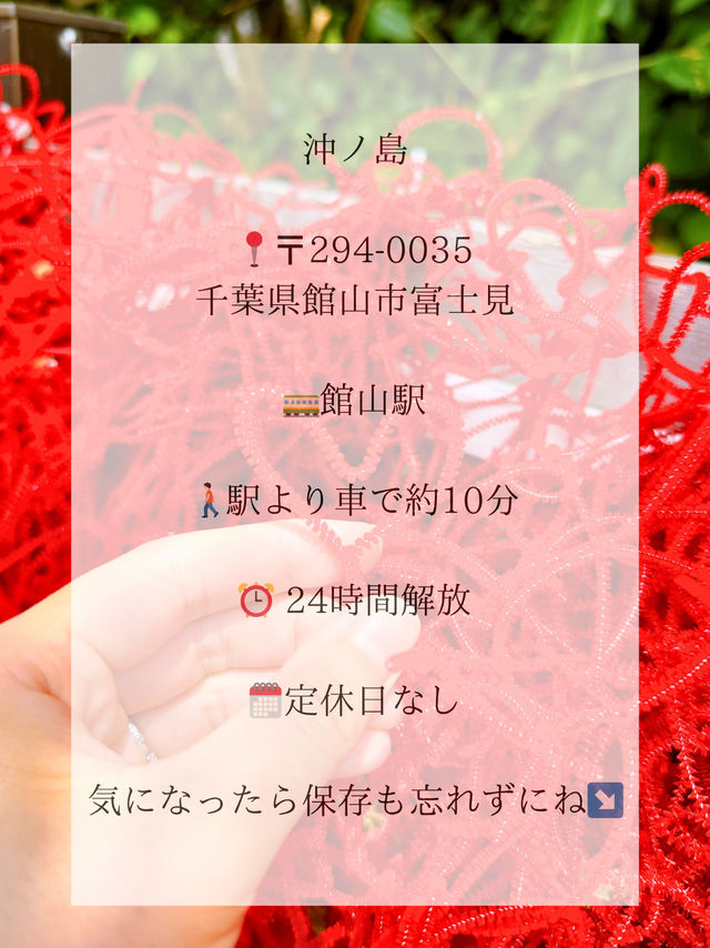 🌺超おすすめ！この夏行きたい秘密の海 in 館山市🌺