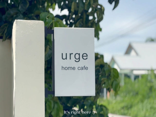 🐾 URGE Café Chiang Rai 😻
