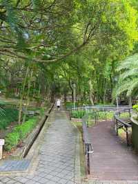 🌳奧爾森林學堂 藏身都市裡的森林教室:貓頭鷹樹屋、恐龍樂園、親子自然冒險一日遊!