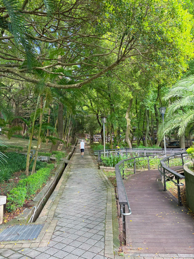 🌳奧爾森林學堂 藏身都市裡的森林教室:貓頭鷹樹屋、恐龍樂園、親子自然冒險一日遊! 🌳奧爾森林學堂 藏身都市裡的森林教室:貓頭鷹樹屋、恐龍樂園、親子自然冒險一日遊!