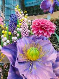 เดินชมดอกไม้สวยที่สยามพารากอน🏵️