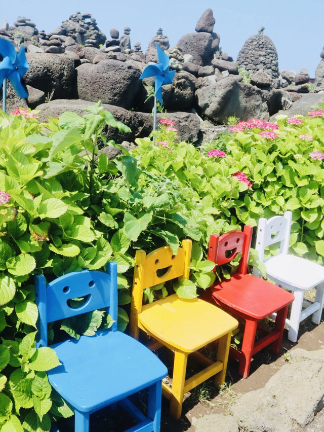A Photographer's Dream of Vivid Colors and Textures