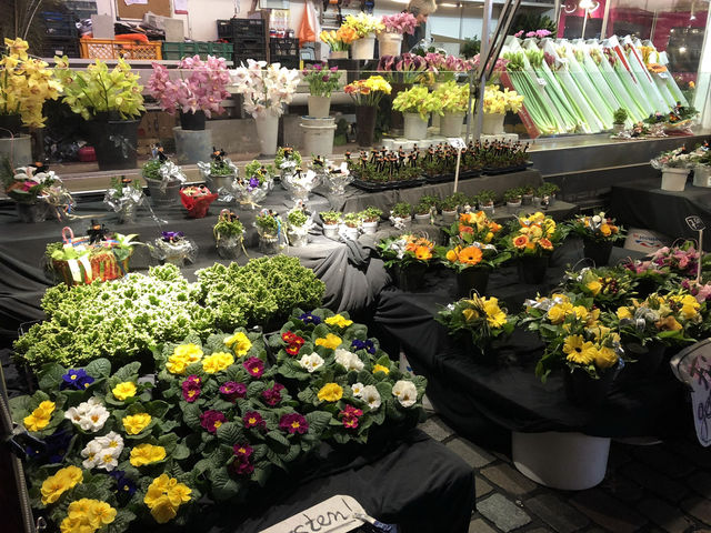 【Fischmarkt Hamburg Altona｜ドイツ・ハンブルク 「眠気も吹き飛ぶ、港町の“朝のエネルギー爆弾