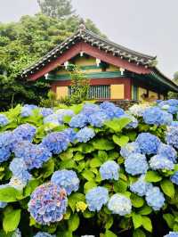 A Unique Wedding Photo Zone Amidst Blooms and Legend