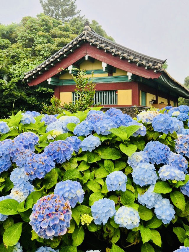 A Unique Wedding Photo Zone Amidst Blooms and Legend