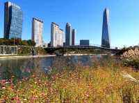 Songdo Central Park – A Modern Escape in Incheon