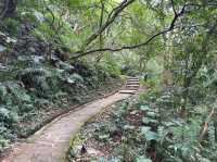 Bailusi Mountain Was Short Sweet and Surprisingly Pretty