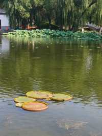 Jianbi Pavilion – An Imperial Jewel in Yuanmingyuan