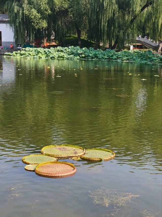 Jianbi Pavilion – An Imperial Jewel in Yuanmingyuan