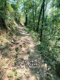 又健康又可以影相裝逼 仲唔去？｜新手爬山攻略｜香港千島湖