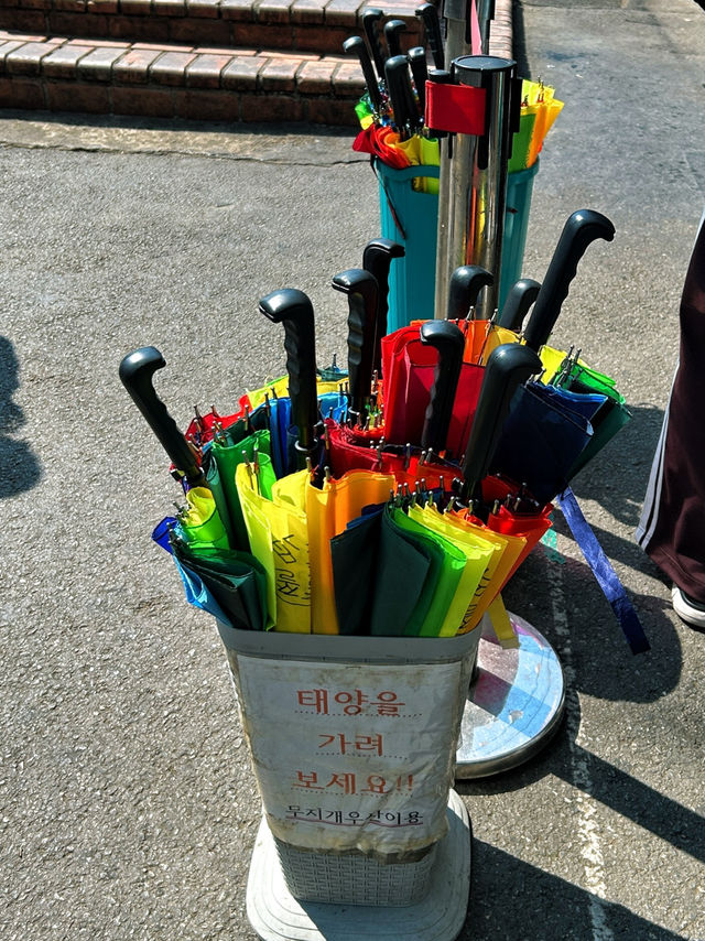 🇰🇷清州✈️排隊人氣特產糖餅쫄쫄호떡
