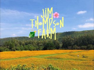 เที่ยวอีสานเก๋ๆ 📍Jim Thompson Farm