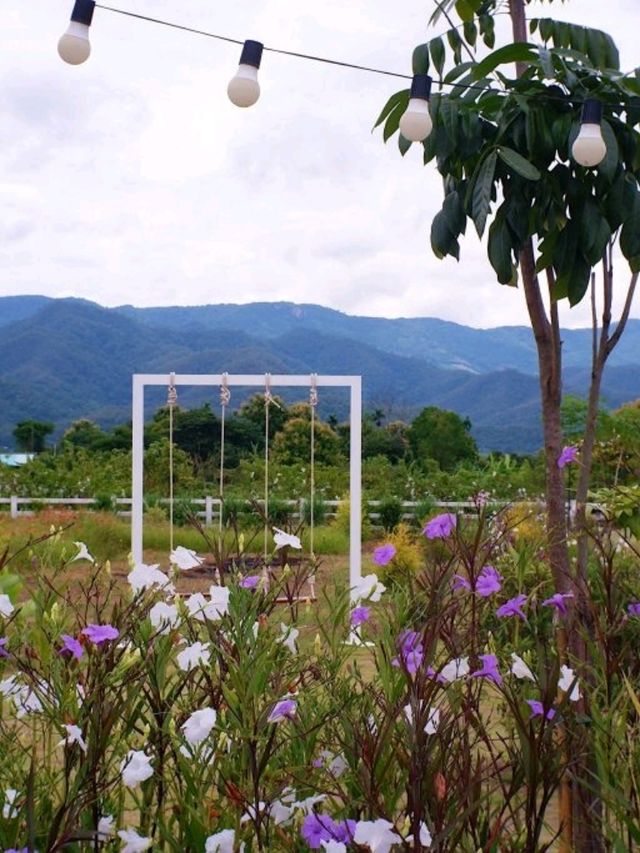 ฮักวิว คาเฟ่ พะเยา