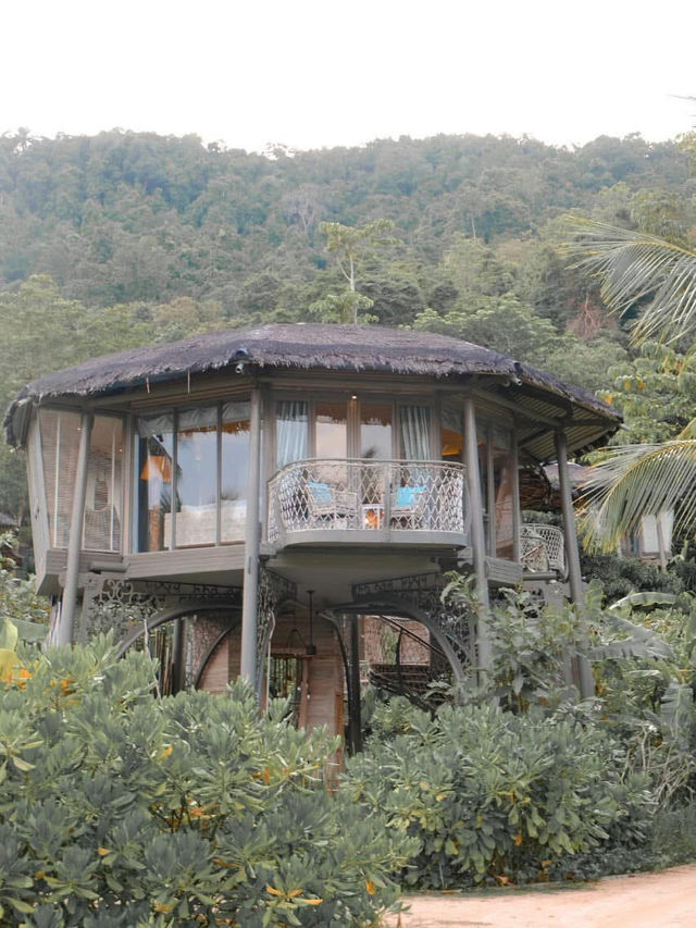 TreeHouse Villas เกาะยาวน้อย จังหวัดพังงา 🌿