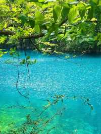 Step Into the Green: Xiaoqikong’s Natural Masterpiece Revealed