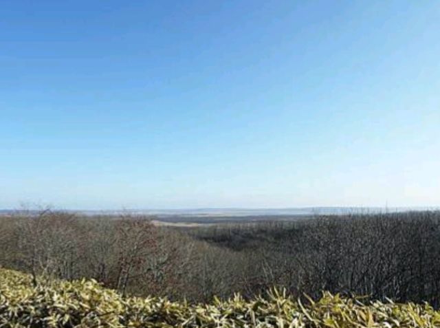 來到北海道，如果想感受真正的原野之美，釧路濕原絕對是必訪之地。