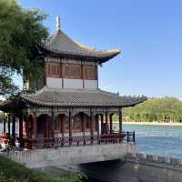  A Perfect Day in Dunhuang — Desert, Art, and Night Vibes