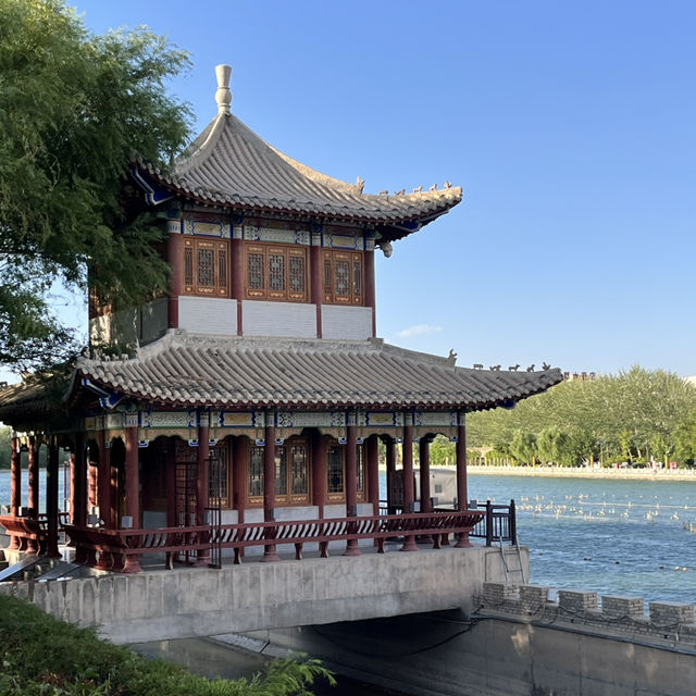  A Perfect Day in Dunhuang — Desert, Art, and Night Vibes