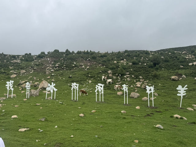 祁連山冰河溝