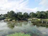 Moonlit Reflections: A Night at Wolji Pond