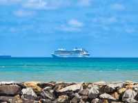 Tropical Adventure and Natural Wonders in Cairns