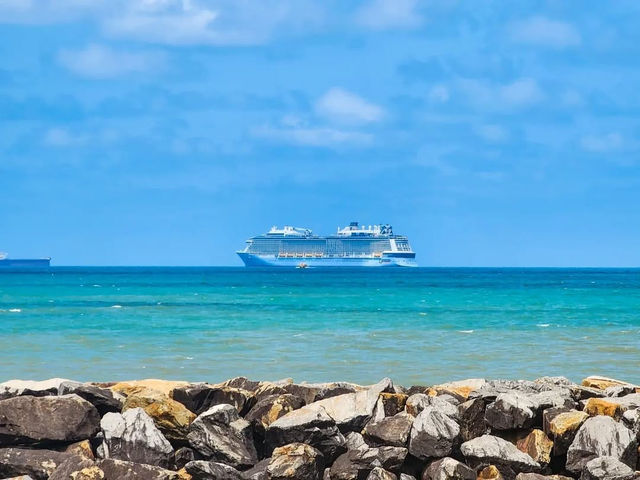 Tropical Adventure and Natural Wonders in Cairns