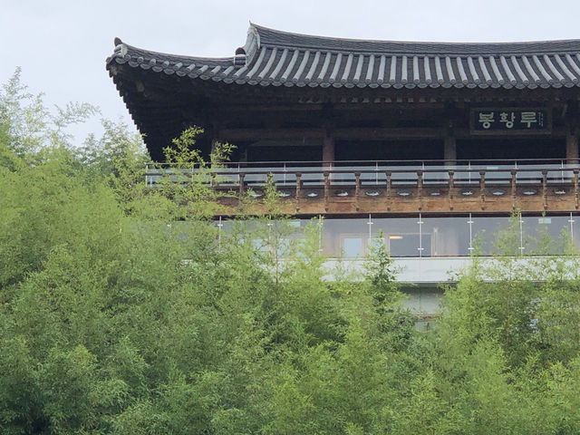 1박 2일 담양 힐링 여행 죽녹원과 국수 한 그릇, 달콤한 도나쓰 아이스크림까지 1박 2일 담양 힐링 여행 죽녹원과 국수 한 그릇, 달콤한 도나쓰 아이스크림까지