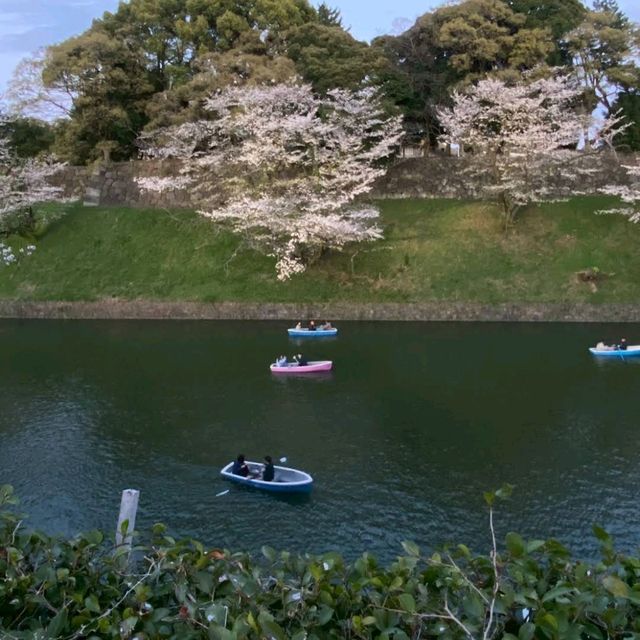 Chidori-ga-fuchi & Kitanomaru Park