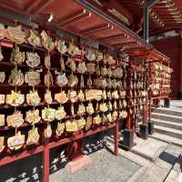 The Soul of Kamakura: A Solo Visit to Tsurugaoka Hachimangu Shrine ⛩️