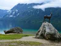 Finding Tranquility at Lake Bohinj