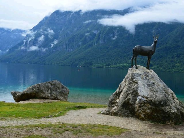 Finding Tranquility at Lake Bohinj