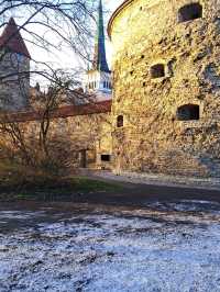 Fat Margaret Tower – Guardian of Tallinn’s Old Town 🛡️
