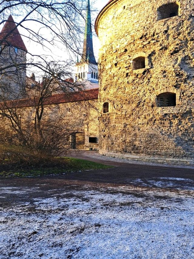 Fat Margaret Tower – Guardian of Tallinn’s Old Town 🛡️