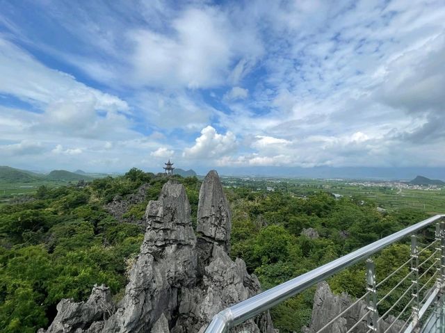 「地表最狂石林」富川•神劍石林景區「橫看成嶺側成峰」 「地表最狂石林」富川•神劍石林景區「橫看成嶺側成峰」